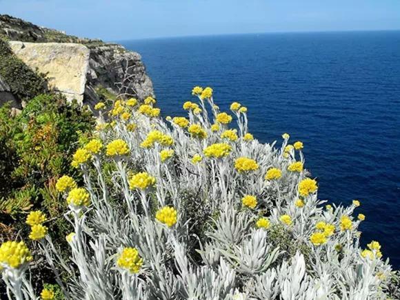 La Ciaccia - L'Elicriso - Profumi Di Sardegna Apartment Valledoria  Luaran gambar